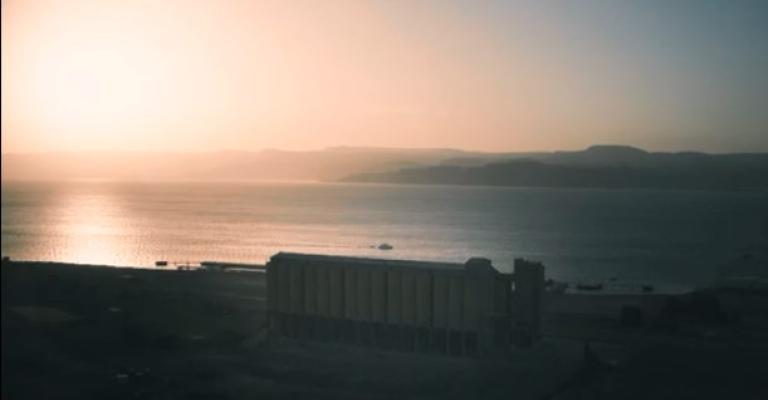 تحقيق يكشف عن استهلاك الاردنيين لقمح يحتوي على عفن وحشرات حية خلال السنوات الماضية تحقيق يكشف عن استهلاك الاردنيين لقمح يحتوي على عفن وحشرات حية خلال السنوات الماضية