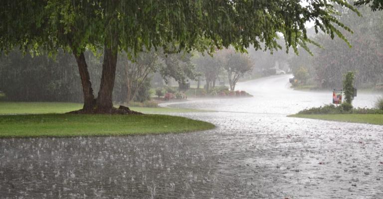 دعوة للاستفادة من كميات الهطول في قطاع الزراعة دعوة للاستفادة من كميات الهطول في قطاع الزراعة