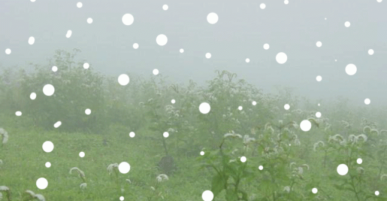 تحذير من غزارة الأمطار وتشكل السيول