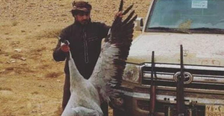 الجمعية الملكية لحماية الطبيعة تطالب بمحاسبة مرتكبي جريمة صيد الغزلان (صور) الجمعية الملكية لحماية الطبيعة تطالب بمحاسبة مرتكبي جريمة صيد الغزلان (صور)