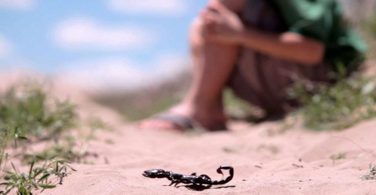 تحذيرات من انتشار الأفاعي والعقارب مع ارتفاع درجات الحرارة تحذيرات من انتشار الأفاعي والعقارب مع ارتفاع درجات الحرارة