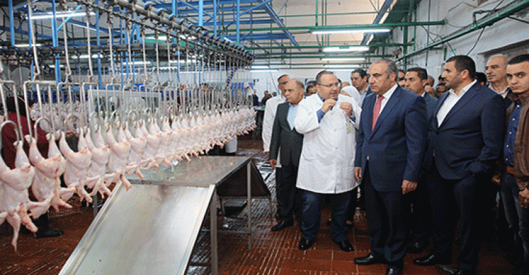 5898 راس من الابقار والأغنام و263 الف من الدواجن ذبحيات مسلخ الأمانة منذ بداية رمضان