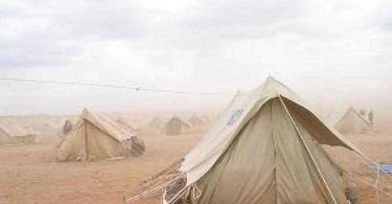 فلسطينيون على الحدود يناشدون المنظمات الدولية فلسطينيون على الحدود يناشدون المنظمات الدولية