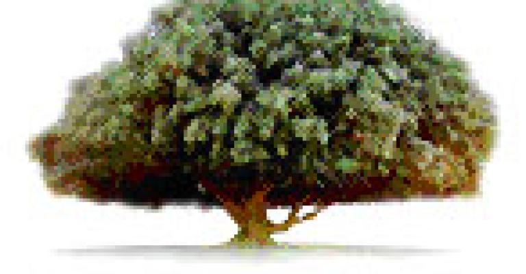 مدينة الشرق مشروع عصري وبتكلفة معقولة مدينة الشرق مشروع عصري وبتكلفة معقولة