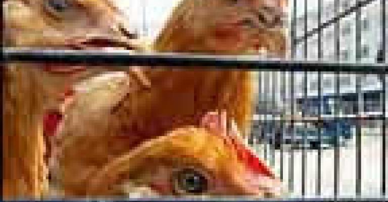 الأردن يعلن أول إصابة بشرية بأنفلونزا الطيور الأردن يعلن أول إصابة بشرية بأنفلونزا الطيور