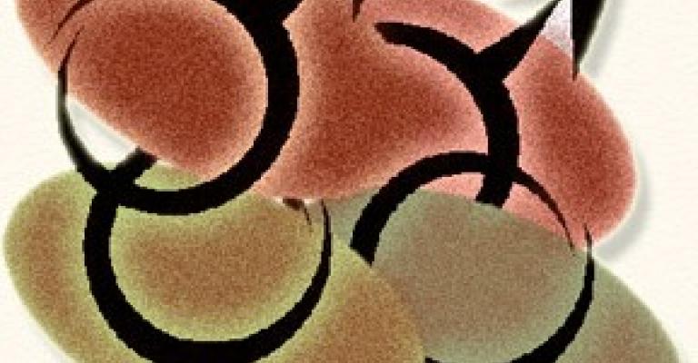 مثليو الجنس في الأردن: من الحمامات العامة إلى الانترنت