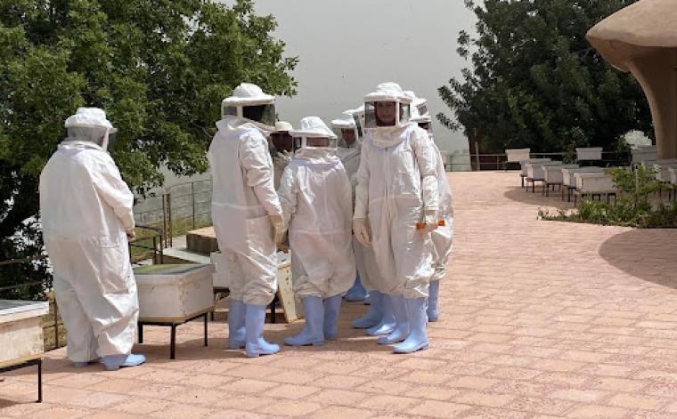 الصورة من مدير محمية اليرموك - محمد ملكاوي