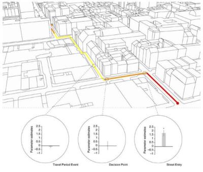 تشغيل الـ"GPS" يعطل مساحة من دماغ الإنسان