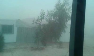 مساحات خضراء في الزعتري.. زراعة الشجر وغرس الأمل