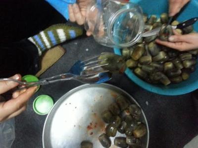 مشروع البيت الدمشقي.. صرخة احتجاج على واقع مرّ