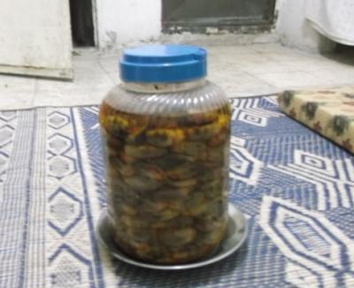  " كرامة": تشغيل العائلات السورية اللاجئة- صوت