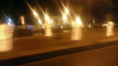 اشجار الرصيفة المضيئة تثير تساؤلات حول الاولويات! اشجار الرصيفة المضيئة تثير تساؤلات حول الاولويات!