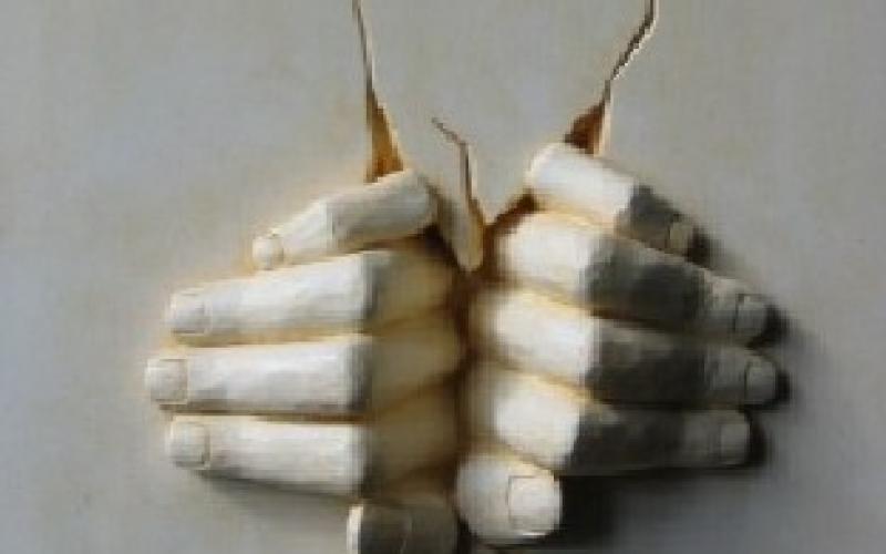 تحالف حقوقي لإعداد الظل الشامل لمجلس حقوق الانسان 