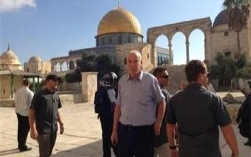 قريع: الأقصى في خطر