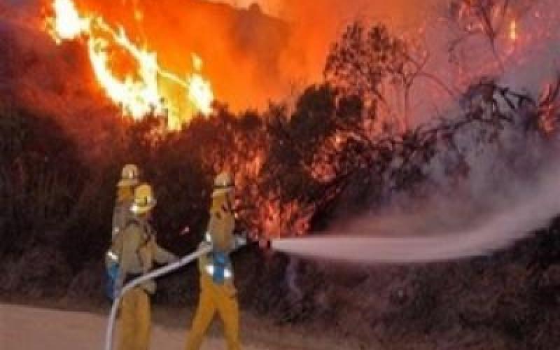 إغلاق طريق الشونة عمان بعد تجدد الحرائق 