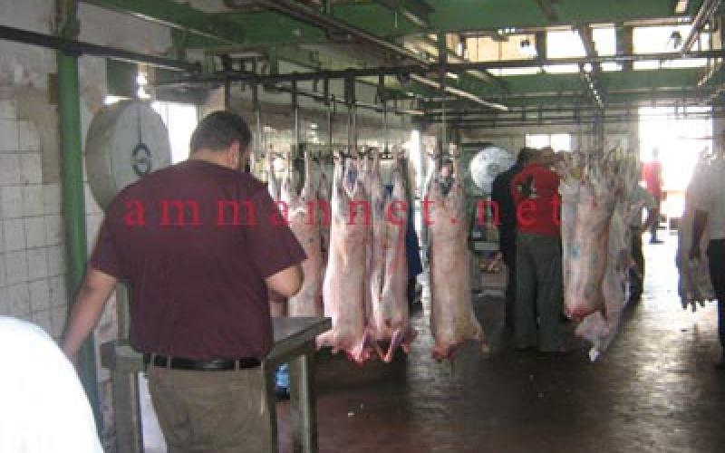 Three masked men repelled for attacking Amman Municipality Slaughterhouse