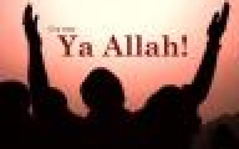 ما أحوجنا لمعلومة في البرلمان