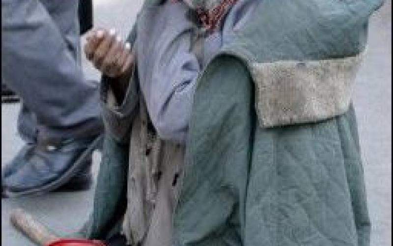 Specialists confirm increased rates of begging