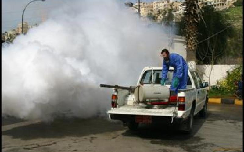 الأمانة تبدأ حملة الصيف لمكافحة الحشرات والقوارض 