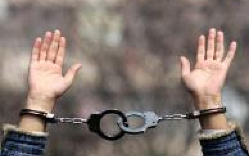 التيار الوطني الديمقراطي:تراجع القانون أمام تغول العشائرية