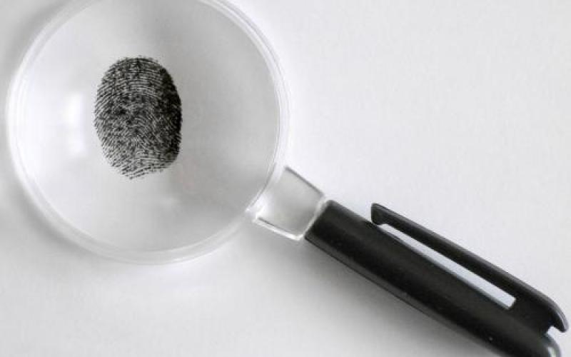 كشف غموض مقتل فتاة في الزرقاء