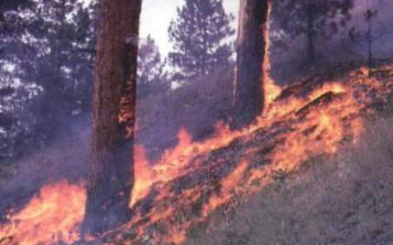  سيجارة تسبب حريقا في شارع وادي صقرة..(فيديو)