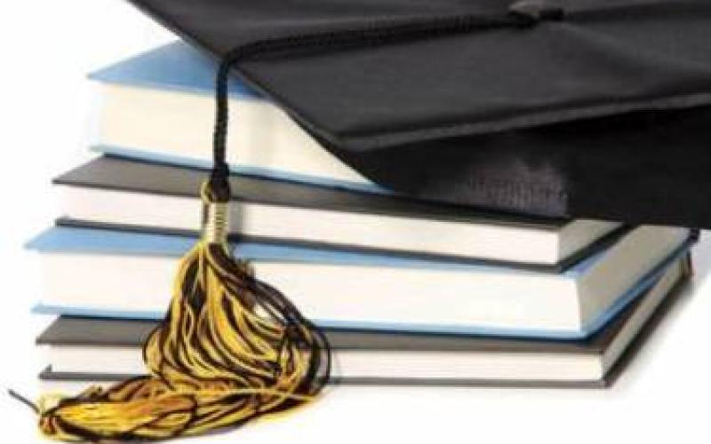 الناقدة فريحات أستاذة مشاركة