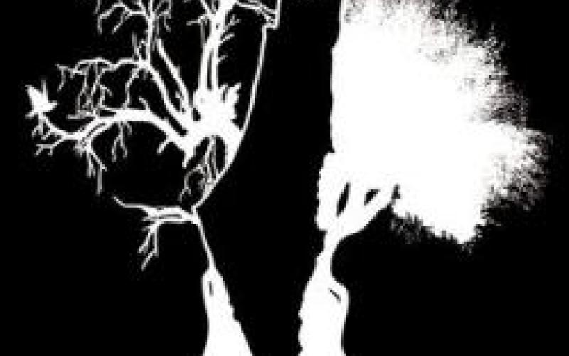 حشد في ذكرى النكبة:حق العودة ورفض المفاوضات غير المباشرة