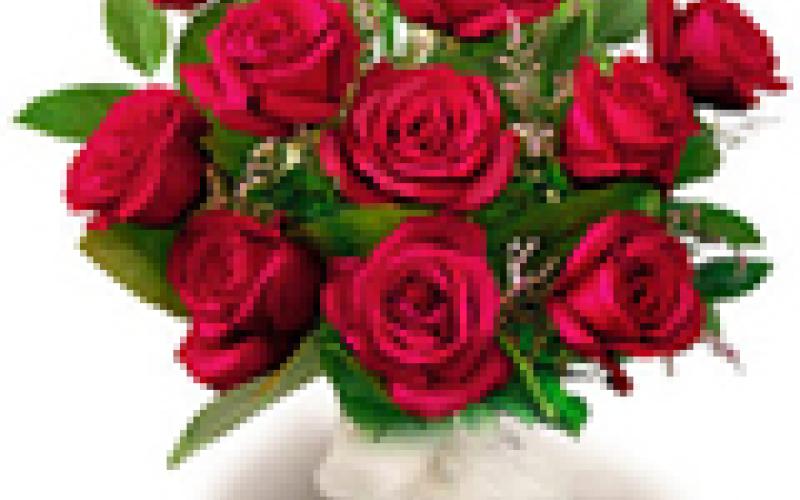 تهنئة إلى السيدة هديل تايه