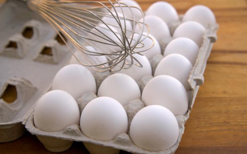 ارتفاع كمية البيض في الأردن
