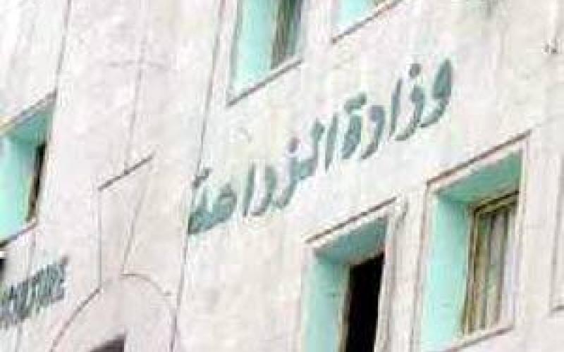 تعيين رباح مديرا في الزراعة