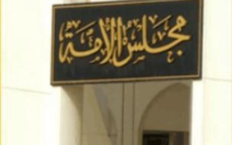 القوانين المؤقتة "قوضت الدستور" (فيديو)