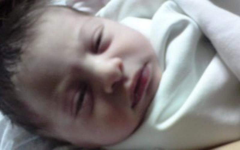 بيلسان زهرة ترى النور