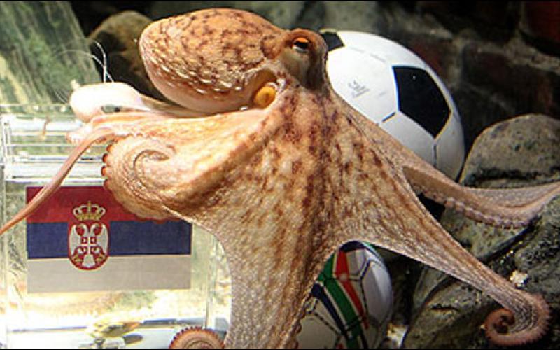 Octopus expects Spain to overcome Germany