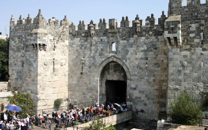 حكايات باب العامود : الحكاية 12 "المنبوذ"