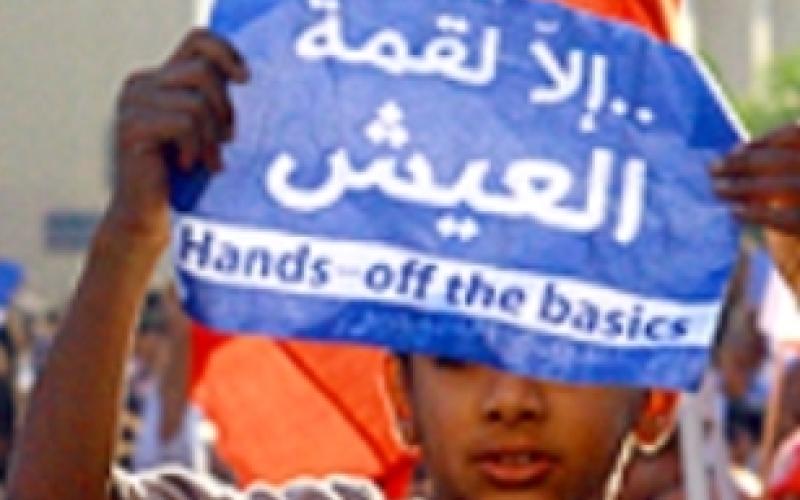 Miyahuna fired employees renew sit-in