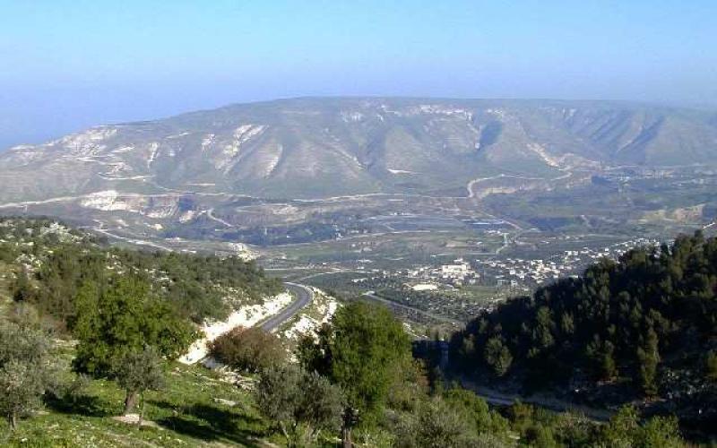 الشرمان :لا نية للحكومة ببيع الأراضي الحرجية 