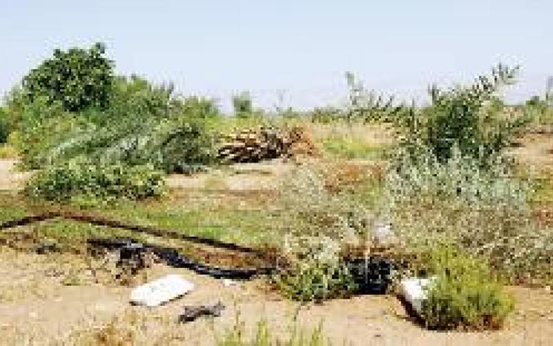 مزارعون:يطالبون الحكومة بالعودة لزراعة أراضيهم