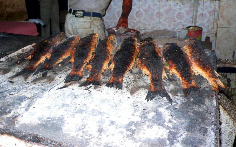 تحذير من شراء اسماك مشوية من وسط البلد عمان ( فيديو)