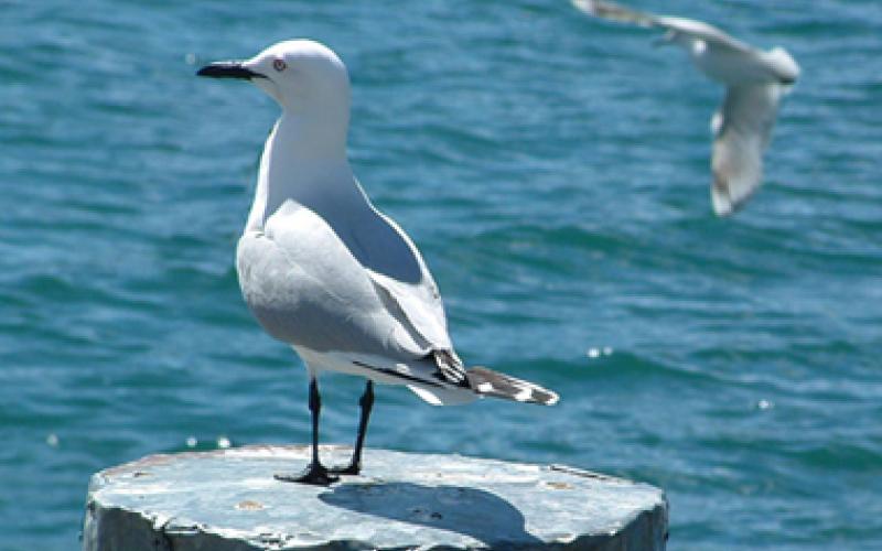 موقع الكتروني ..جديد