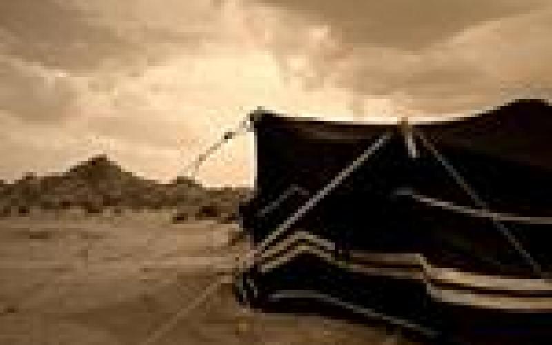 نفحات بدوية