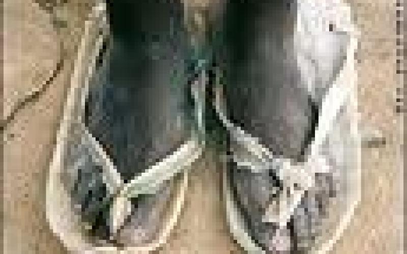 عيد المسؤولين العرب