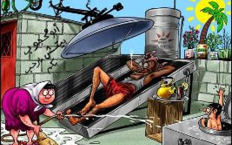 المواطن الذي نريد