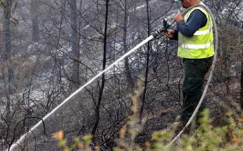  مشاركة أردنية بإخماد حريق الكرمل