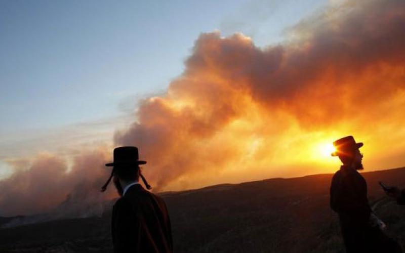 نار القهوة والارجيلة وراء حريق الكرمل 