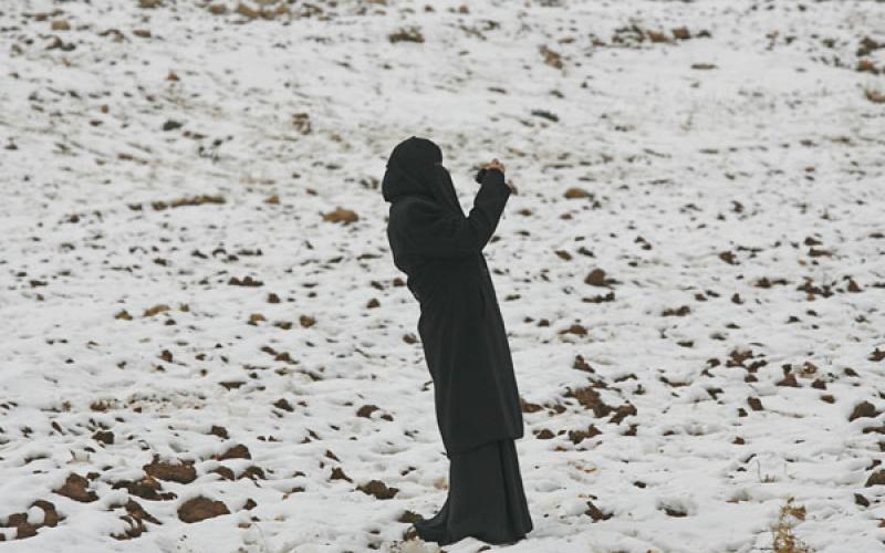 الثلج بعدسة المصور نادر الداود