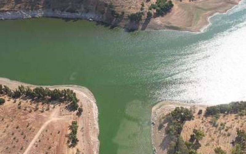 Desalinate water, Jordan’s only option