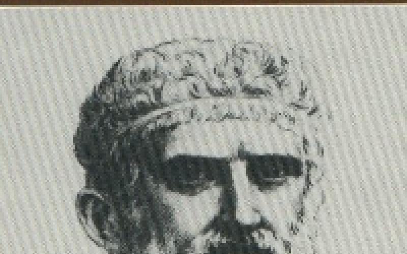 فرسان الدهماء...! 