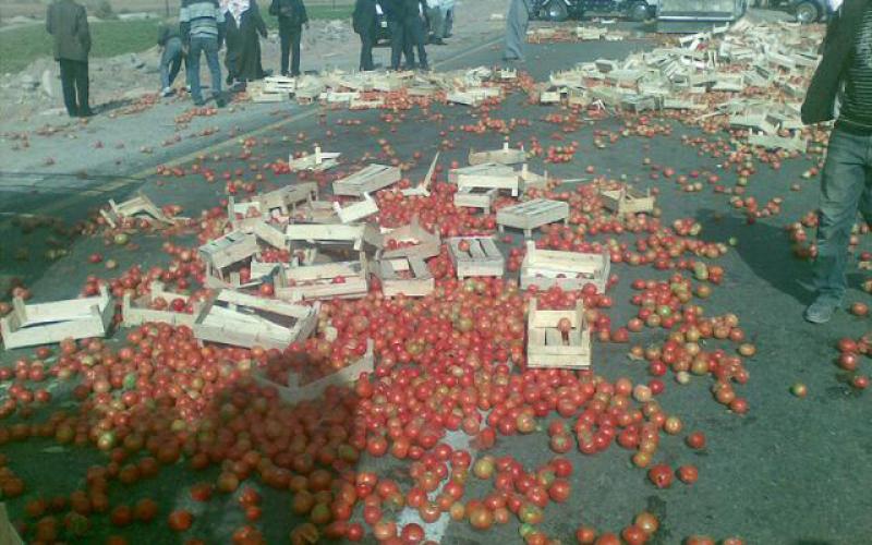 مزارعون يغلقون طريق العقبة -عمان بالبندورة " صور+ صوت " 