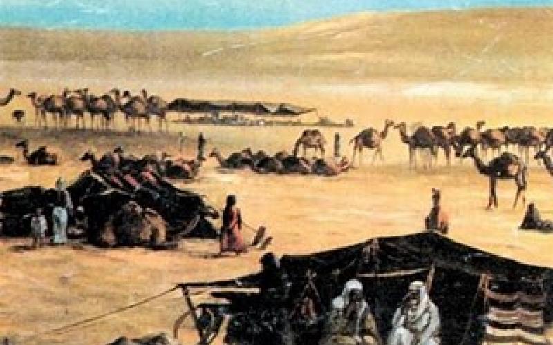 النائب الزواهرة: الحرس الملكي أطلق النار على المعتصمين دون قصد